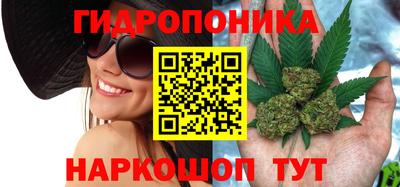 сатива Можайск