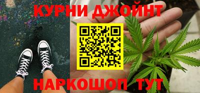 сатива Можайск
