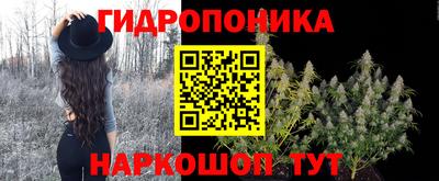 сатива Можайск