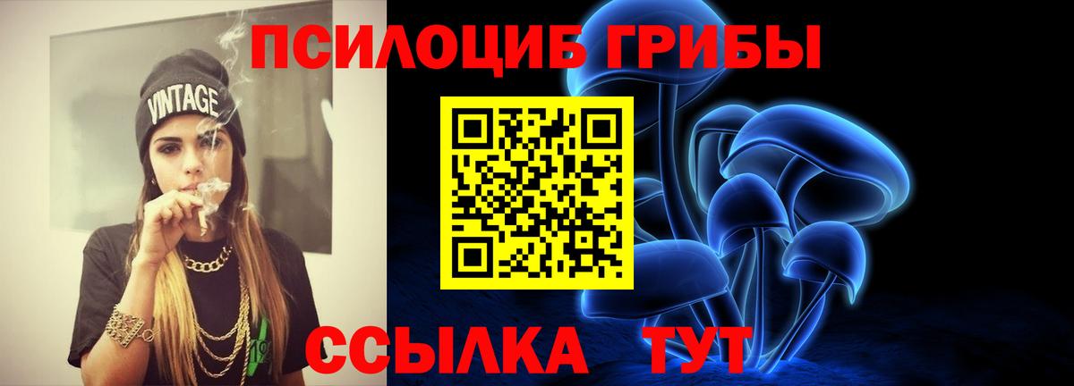 Галлюциногенные грибы Psilocybe  Вход с VPN  Кондопога  Псилоцибиновые грибы GOLDEN TEACHER 