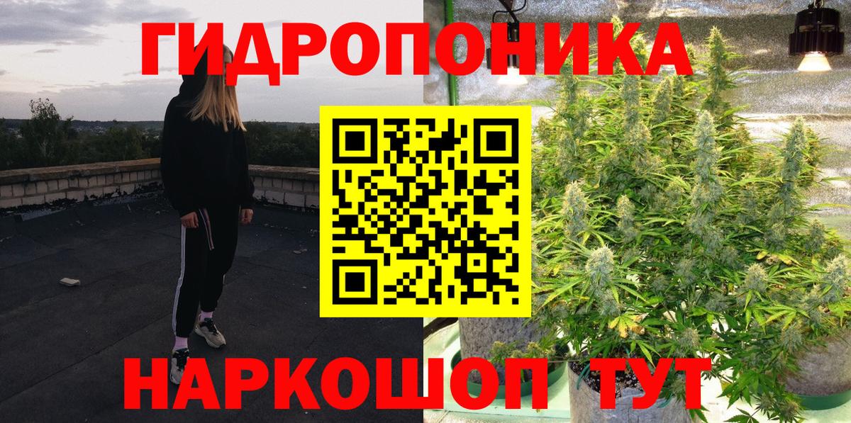 Бошки Шишки конопля  Бошки марихуана планчик  Конопля ГИДРОПОН  Кондопога  Вход с VPN 
